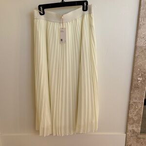 Quince Ivory A-Line Pleated Skirt